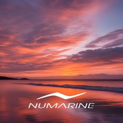 Numarine 2025 The Day Playlist