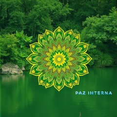 Paz Interna