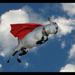 Soaring Goat