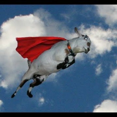 Soaring Goat