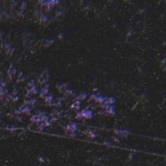 stay*ghost - xorainzz