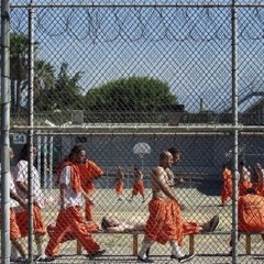 N. O. D. - Fuck Da World