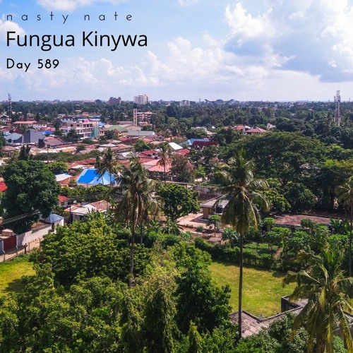 n a s t y  n a t e - Fungua Kinywa. Day 589 - KWAITO