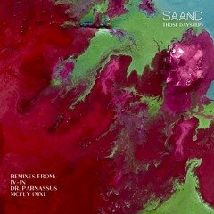 Premiere: SAAND - Those Days (Dr Parnassus Remix) [Zephyr Music (MX)]