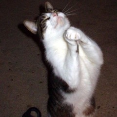 SlimeSaint-Repent (Prod.@w3dnesda)