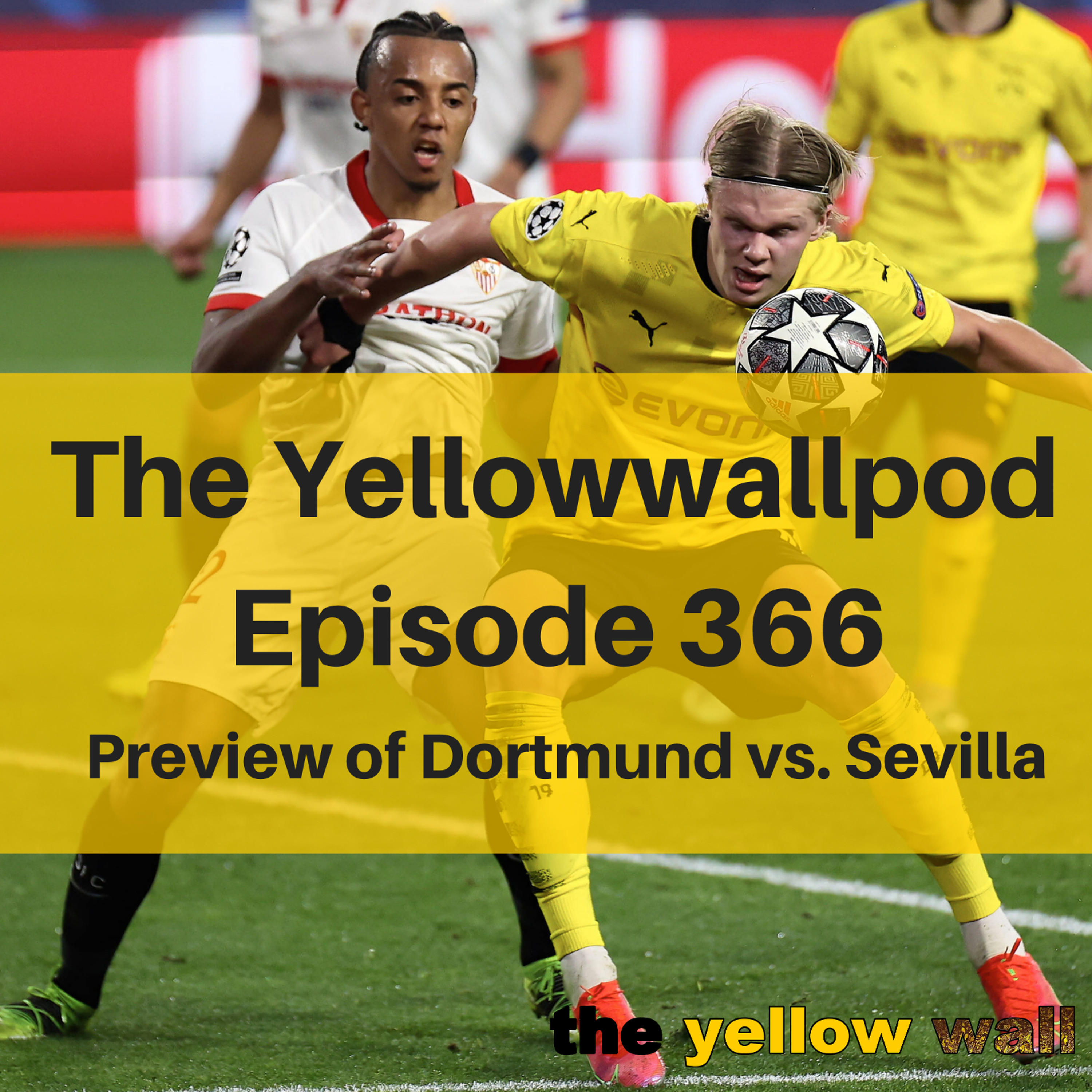 Yellowwallpod