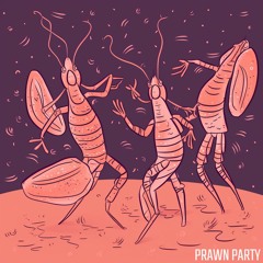 PRAWN PARTY (Opiuo/GRiZ Mix)