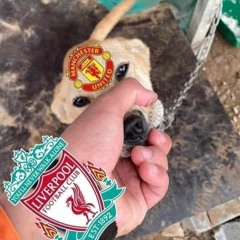 Ngày Hôm Ấy Em Buông Tay Anh Vì Lý Do Gì