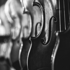 Strings muse