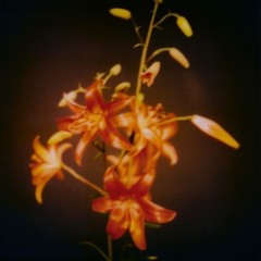 takizava sample challenge (2nd Place)