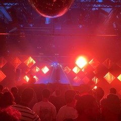 Bird - 20 Years Sirion Records Intro at Dachstock - June 2024 (Vinyl only)
