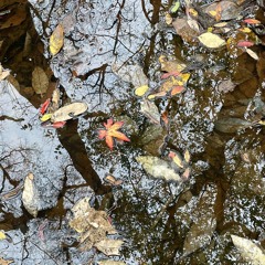 first spring after a cold winter