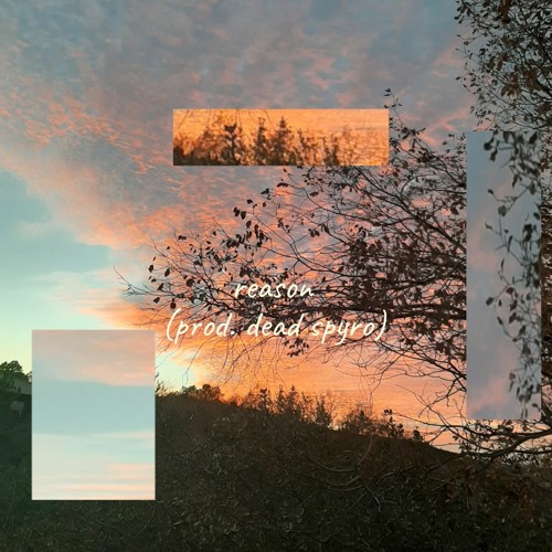 reason (prod. deadspyro)