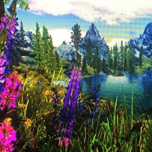 Dreaming in the woods