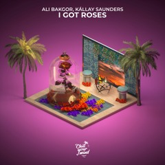 Ali Bakgor, Kállay Saunders – I Got Roses