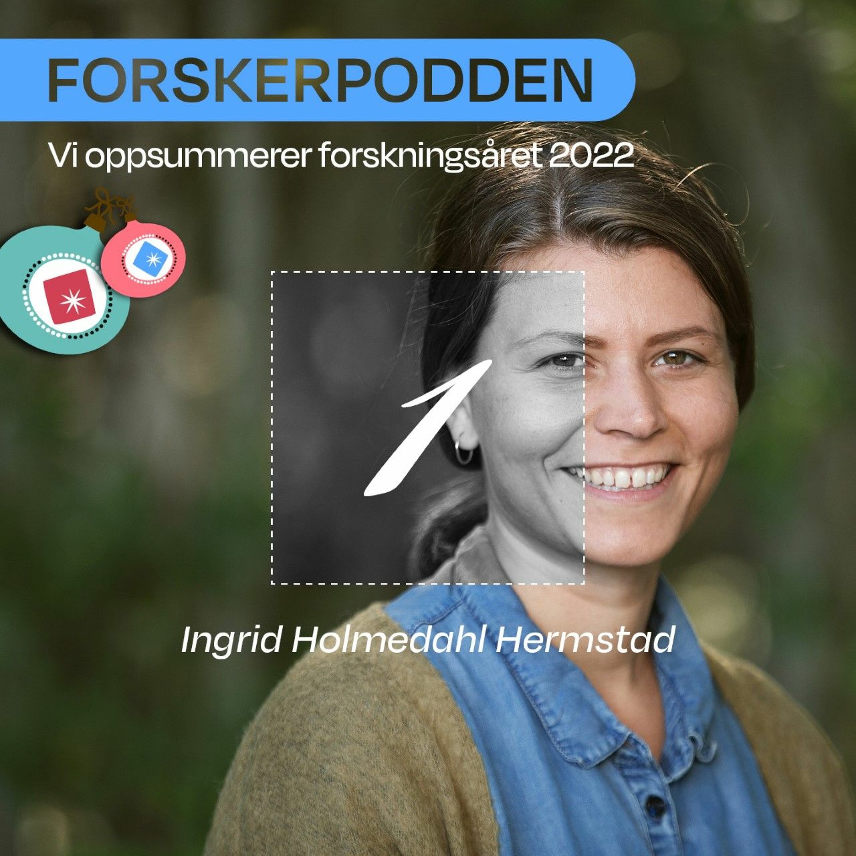Forskerpodden