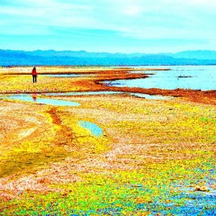 salton sea