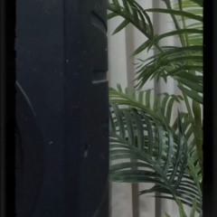 TÌNH YÊU TRONG MẮT EM (NEW VERSION) - SƠN TÙNG M - TP