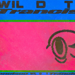 vik @ wildt trancisco 01.02.2020