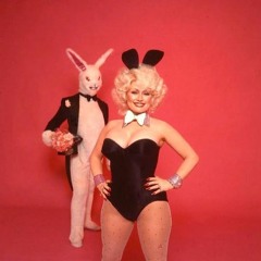 Who Are You? / PLAYBOY BUNNY