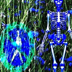Drux - skeleton (feat. Dion)