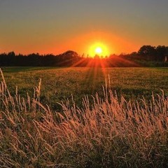 One More Day in Paradise (Covered)