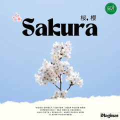 SAKURA-EXAMPLE-LAGU-ZEA