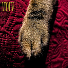 La Curiosidad (demo)