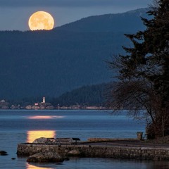 Yoga Nidrā - Guided Relaxation Practice - 25 Min (Full Moon)