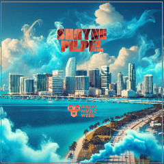 MIami Music Week 2025 | Shayne Pilpel Promo Mix