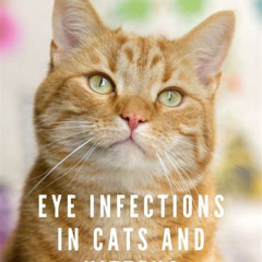 Best Cat Eye Boogers Treatment Reviews