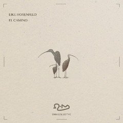 Eike Hosenfeld - El Camino [OHM Collective]