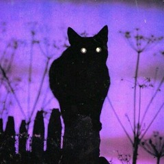 Drugs On My Phone (RecycleBin)