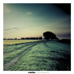 MARION - Sunflowers
