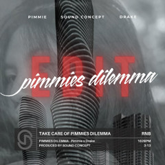 Take Care Of Pimmies Dilemma - Pimmie x Drake (Sound Concept Edit)