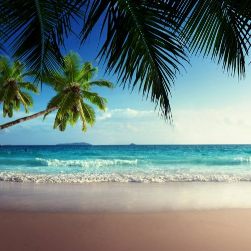 201- 년보넷보네워커 ambient background music FREE DOWNLOAD