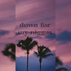 Down For My Niggas