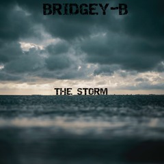 BRIDGEY - B - The Storm (FREE DOWNLOAD)Working Link
