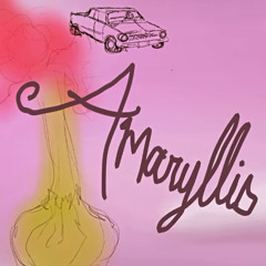 Amaryllis