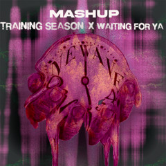 Training Season x Waiting For Ya (JOHLOW Mashup)