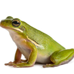 Purpl - Do Me a Favour (prod. nuhof)