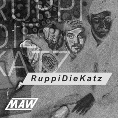 RuppiDieKatz/ MAW / Modelllager / 08.04.2023