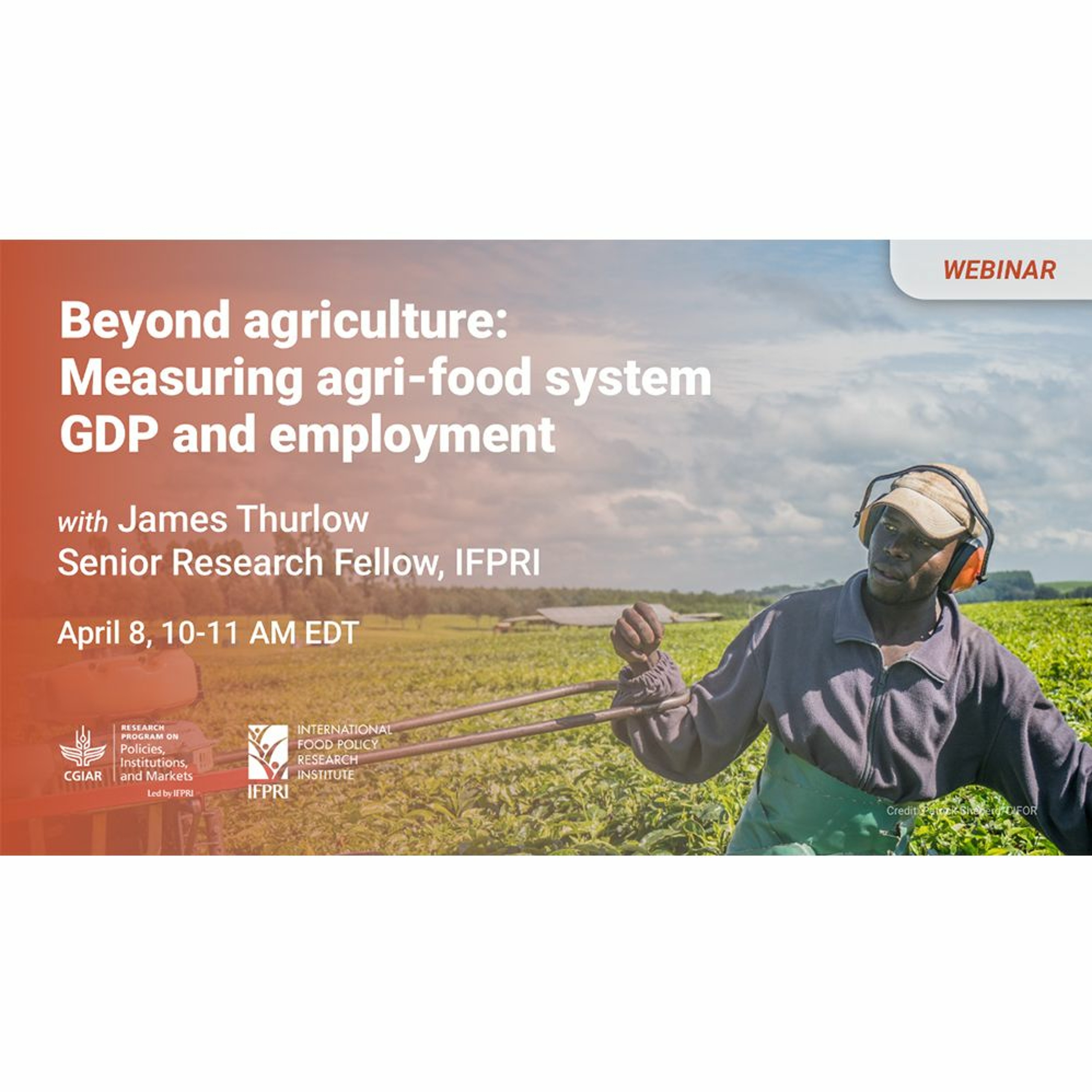 PIM Webinar: Beyond agriculture: Measuring agri-food system GDP and employment episode artwork