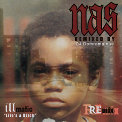 Life's a Bitch (REMIX by DJ Domromalous)