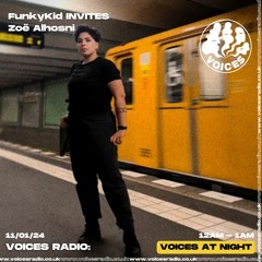 Funkykid Crisis w/ Salma and Zoe - 11/01/24 - Voices Radio