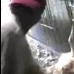 [Original video] kỳ án 88 nguyễn xuân đạt 88 trang 88 trang tài liệu đoàn văn sáng vụ lạng sơn 88 trang ở lạng sơn