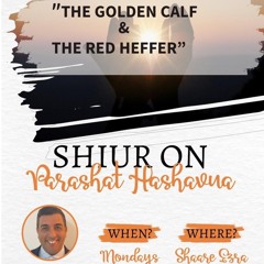“THE UNLIKELY PAIRING OF THE GOLDEN CALF & THE RED HEFFER” PARASHAT VAYAKHEL/PIKUDEY  Sharone Lankry
