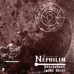 Fields Of The Nephilim - Psychonaut (WLDV Edit) FREE DOWNLOAD