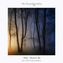 IDQ - Shadow Me (Leandro Murua Groove Remix)