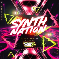 SYNTH NATION VOL 8